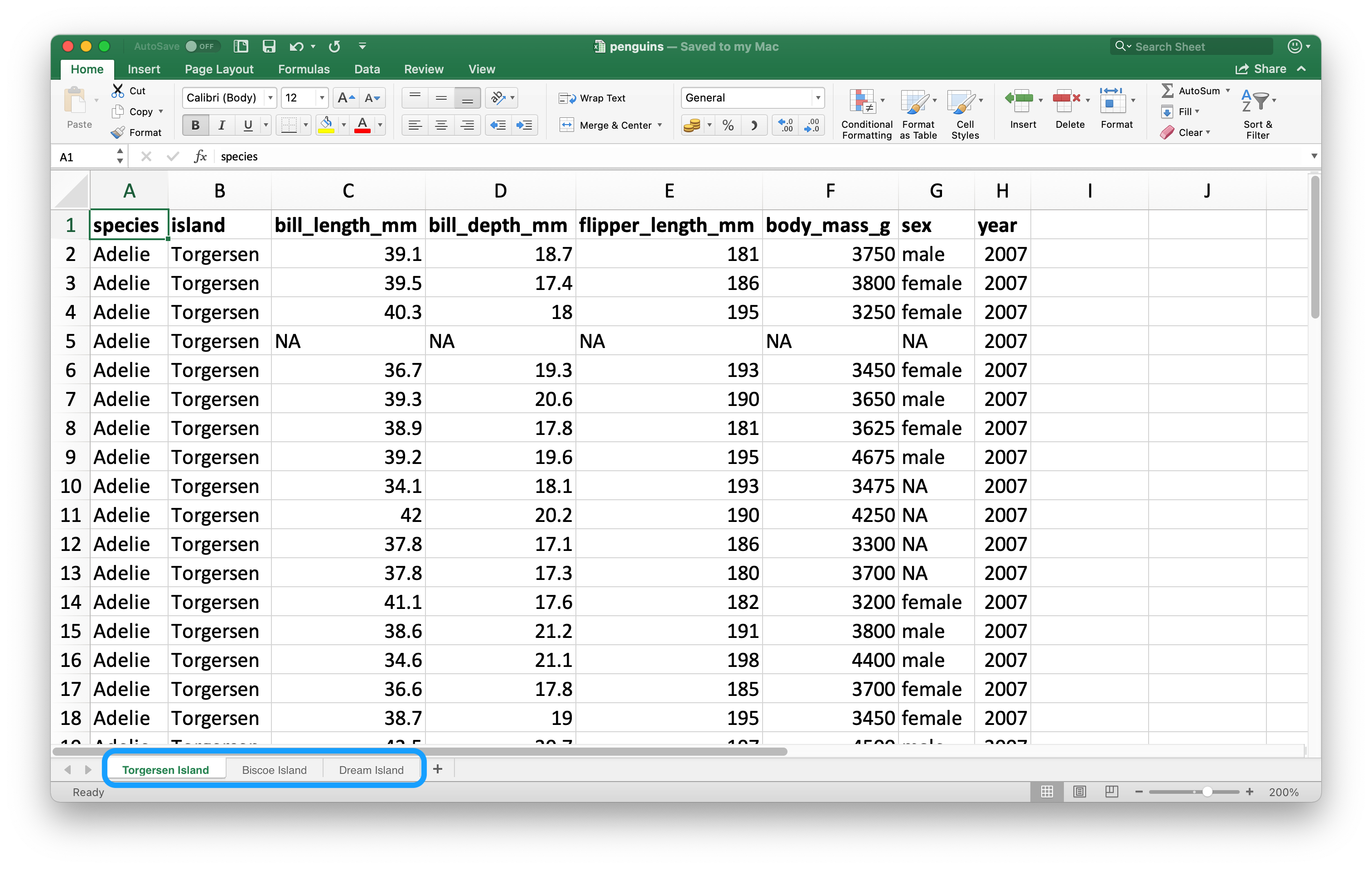 A look at the penguins spreadsheet in Excel. The spreadsheet contains has three worksheets: Torgersen Island, Biscoe Island, and Dream Island.